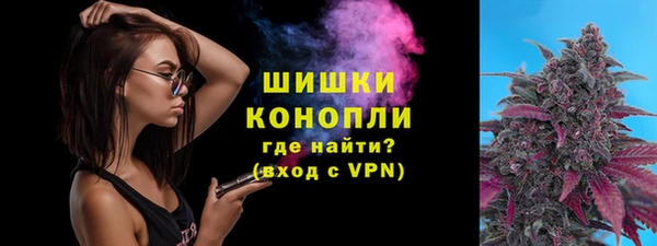 сатива Абдулино